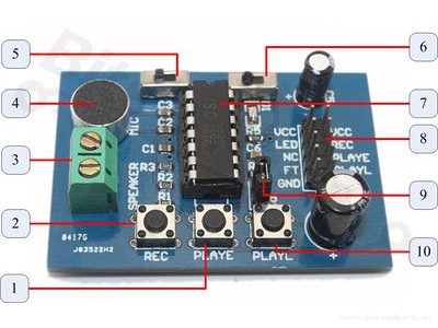Voice recording module